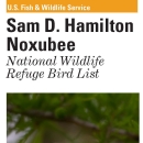 An image of the cover for the bird brochure.