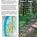 Image of Fannie Stebbins Rack Card