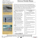 Edwin B. Forsythe National Wildlife Refuge: Holgate Brochure