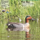 An image of the cover for the refuge brochure.
