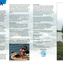 Preview image of the brochure. There are three columns of text, a picture of two ducks at the bottom, and a picture of trees on the lake to the right.
