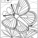 color by number of the mission blue butterfly 