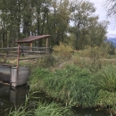 This water control structure, blocking fish passage between the Bitterroot River and North Burnt Fork Creek, would be replaced with a bridge as part of the proposed action at Lee Metcalf NWR. 