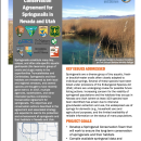 first page of handout