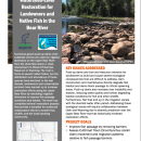 first page of handout