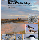 Monomoy National Wildlife Refuge Comprehensive Conservation Plan