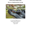 Draft EIS Recovery Implementation Strategy