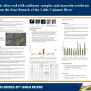 East Branch Little Calumet River NRDA Reports
