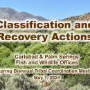 2024 Spring Tribal Coordination Meeting Listing and Recovery Update