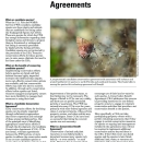 Candidate Conservation Agreements Fact Sheet