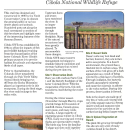 Desert Trail of Cibola NWR