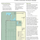 Goose Loop Auto Tour of Cibola NWR