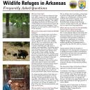 Feral Hog Management on National Wildlife Refuges in Arkansas