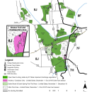 White-tailed Deer Hunt Regulations 2025 Montezuma NWR