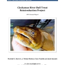 Clackamas River Bull Trout Reintroduction Project 2019 Annual Report