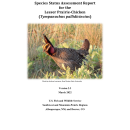 Species Status Assessment Report for the Lesser Prairie-Chicken