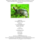 Biological Opinion on the Effects of New Jersey Road Network Operation, Maintenance, Improvement, and Expansion on the Bog Turtle