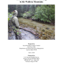 NPT 2019 Bull Trout Redd Counts - revised by RR 2020-10-21.pdf