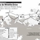 Blackwater NWR Wildlife Drive Map - Spanish