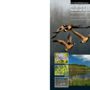 Willamette Valley NWRC CCP 