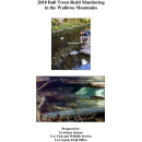 bulltroutfinalreport2018.pdf