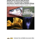 Selawik River Inconnu Age Structure Evaluation and Spawning Population Abundance, Selawik National Wildlife Refuge.pdf