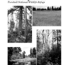 Turnbull NWR Habitat Management Plan