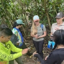 Citizen scientists on Guam discuss plant features to help with identification