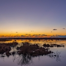sunset at a coastal marsh
