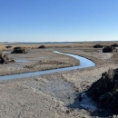 Tidal channel and hummocks in restored Chesapeake Bay salt marsh in Worcester County, Maryland.