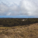 Looking out over the forest at Hakalau Forest NWR with the station visible in a small opening in the canopy.