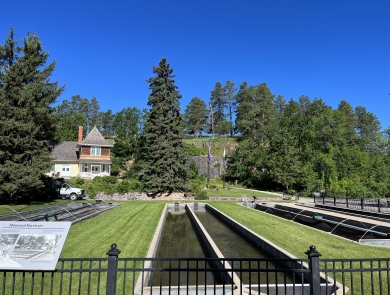 Hatchery rearing ponds, interpretive panel and museum building surrounded by green grass and pine trees.