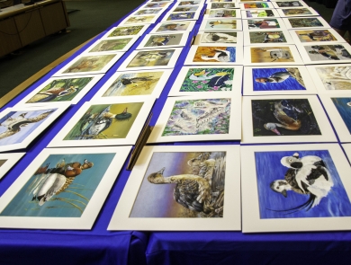 Image is multiple pieces of Junior Duck stamp artwork displayed on a table for the Junior Duck Stamp Contest 2023