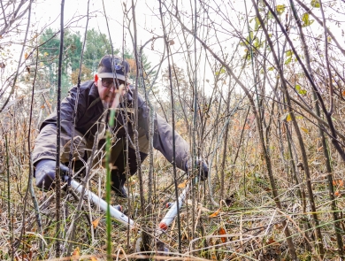 Man kneeling down, using loppers to cut small stems