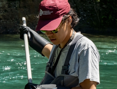 A service intern wearing waders stands in a river with a pole net, ready to scoop up fish.