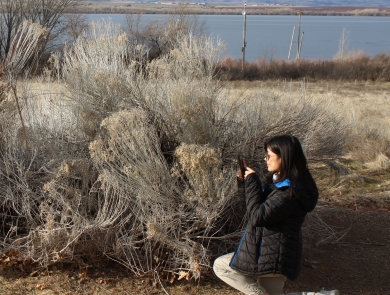 Two people use their phones to take photos of a plant