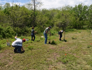 Students planting trees