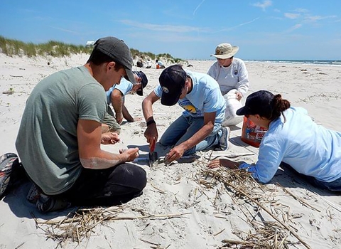 Five peopole are sitting on the sand at the beach. Two excavate wholes others are holding seeds.