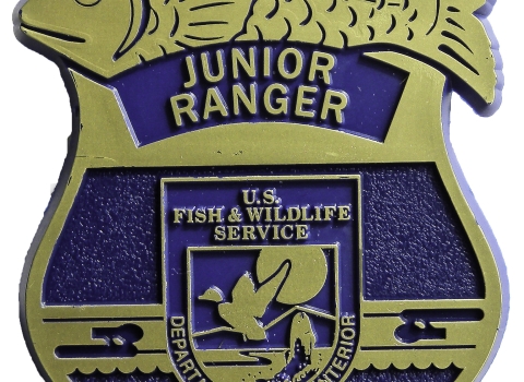 Kids can earn a Junior Ranger badge