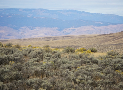 Sagebrush covered hills and distant mountains