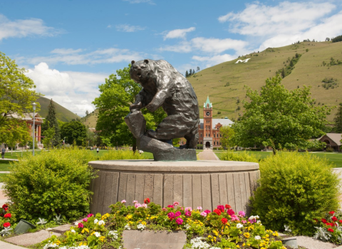 A silver statue of a grizzly bear surrounded by flowers with buildings and a green hill in the distance