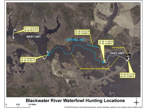 GIS image of Blackwater River Waterfowl Hunting Map with hunt units denoted