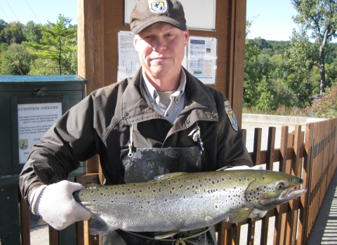 Nick Staats, Atlantic salmon