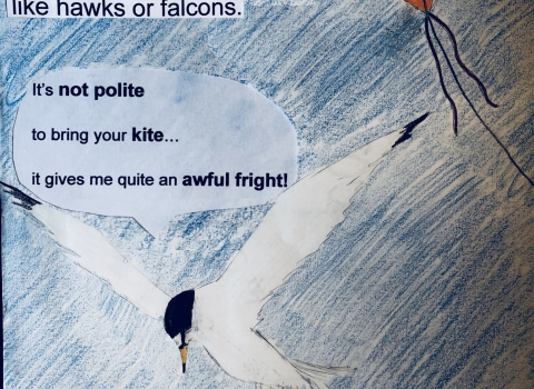 Image of example shorebird sign