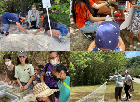 A collage that shows the events from Ritidian Day at the Guam National Wildlife Refuge 2022. The top left corner shows masked children digging in the sand. The top right shows children holding a browntree snake. The bottom left shows a group of people touching bins full of sea life. The bottom right shows two volunteers demonstrating net casting. 