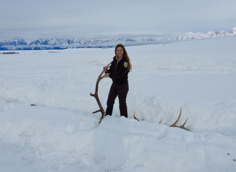 Kari Cieszkiewicz is the latest FWS Behind the Lens photographer for the USFWS Library. She is collecting elk antlers at the National Elk Refuge taken by Natalie Fath/USFWS.