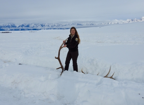 Kari Cieszkiewicz is the latest FWS Behind the Lens photographer for the USFWS Library. She is collecting elk antlers at the National Elk Refuge taken by Natalie Fath/USFWS. 