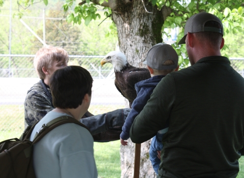 Family looking at an eagle