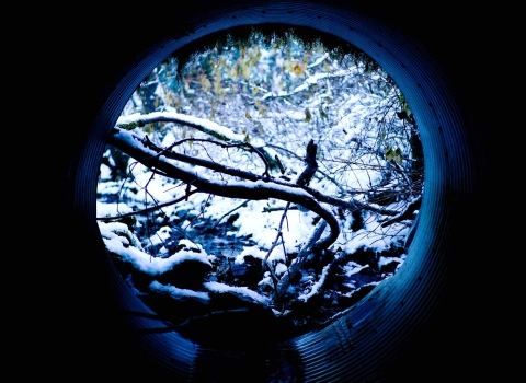 looking out at a snowy stream from within a round metal culvert pipe.