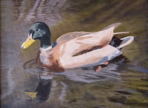 Painting of mallard in water
